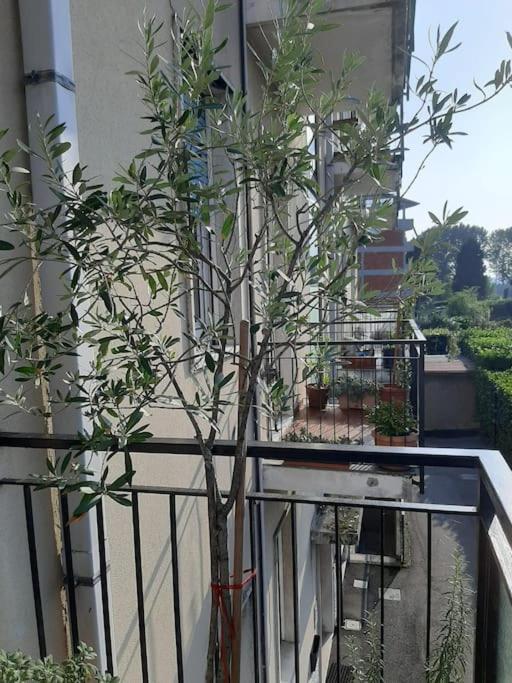 Appartement Mice Ottima Soluzione Per Il Centro E La Svizzera à Côme Extérieur photo